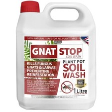 Gnat Stop Cleanse - No Gnats