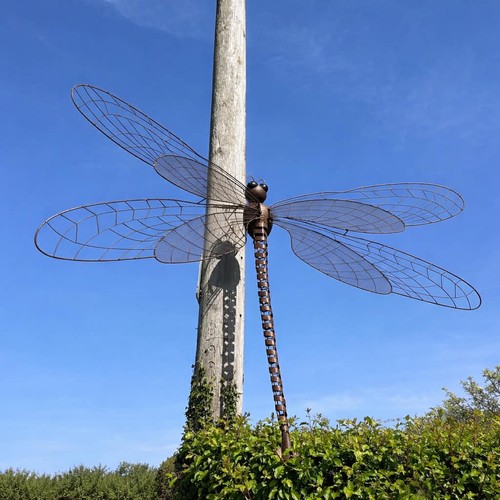 Very large dragonfly wall - wall, art