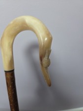 Rams Horn Shepherds Crook