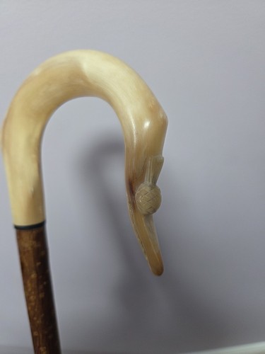 Rams horn shepherds - horn, crook