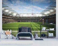 FOOTBALL STADIUM XXL SIZE boys bedroom photo wallpaper mural 368x254cm green