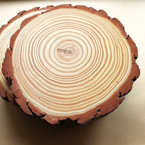 Cake stand rustic - log, slice