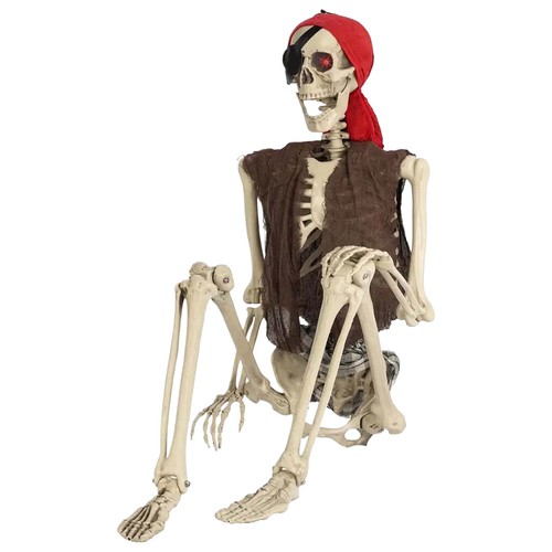 Halloween life size - life, skeleton
