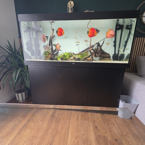 Juwel rio 450 aquarium - rio,