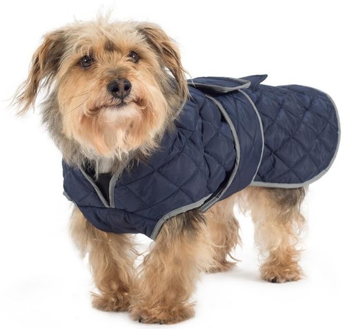 Ancol muddy paws navy - muddy,