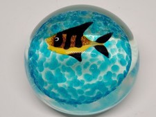 Murano Glass Fish Aquarium