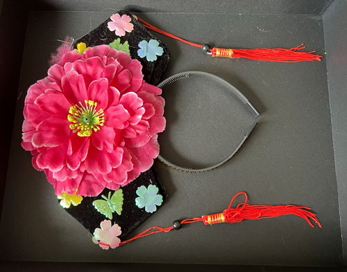 Qing dynasty chinese - qing,