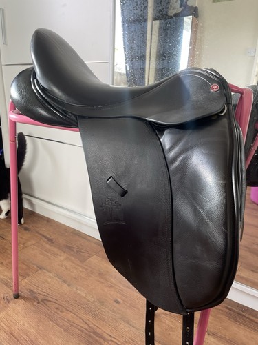 Spalding black dressage - spalding,