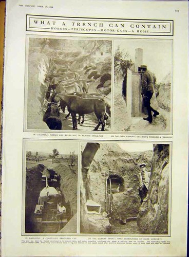 Original old antique print - original,