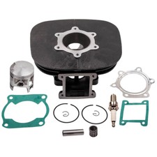 Piston Cylinder Assembly for