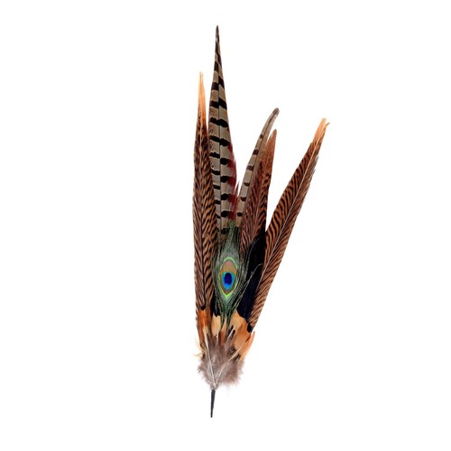 Large pheasant feather - , mount