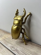 Gold Stag Beetle Wall Art