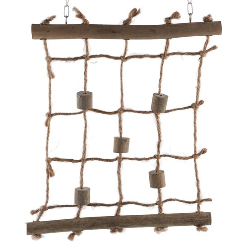 Pet bird swing - bird, unique