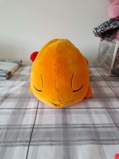 Pokemon Sleeping Charmander