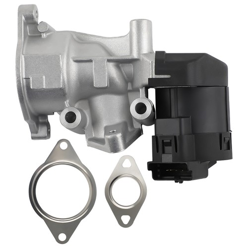 Agr egr valve for - agr,