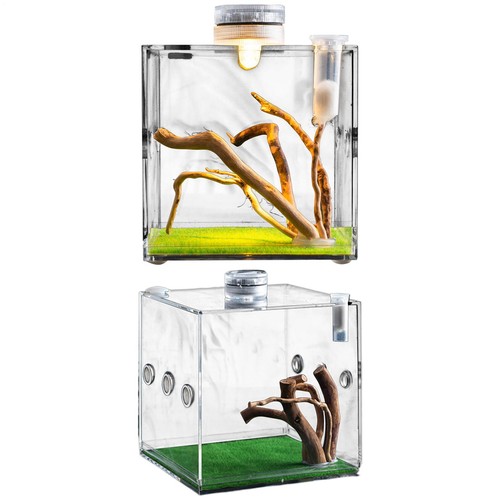 Clear reptile cage jumping - cage,