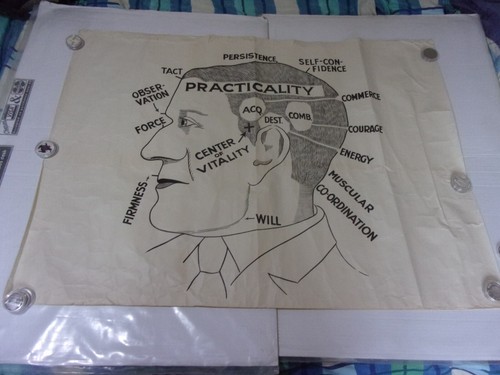 Vintage phrenology - vintage,
