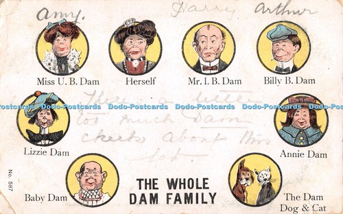 R554964 the whole dam family - the,