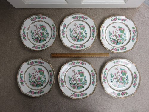 Indian tree duchess bone - tree,