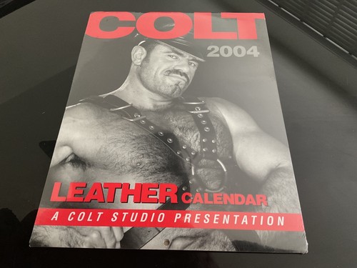 Colt studio 2004 - studio,