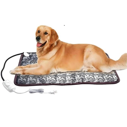 Heated dog bed - dog,