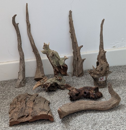 Bogwood for fish tank - , or