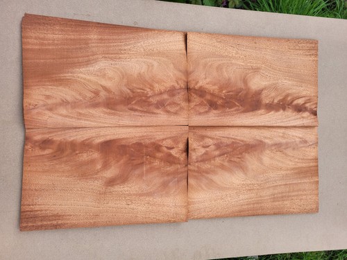 Swirl mahogany veneer - veneer, 4