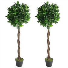 Topiary Bay Trees Pair 120cm