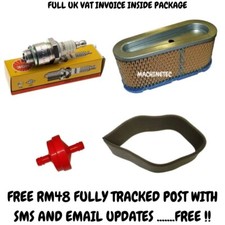 Briggs & Stratton 12.5hp -