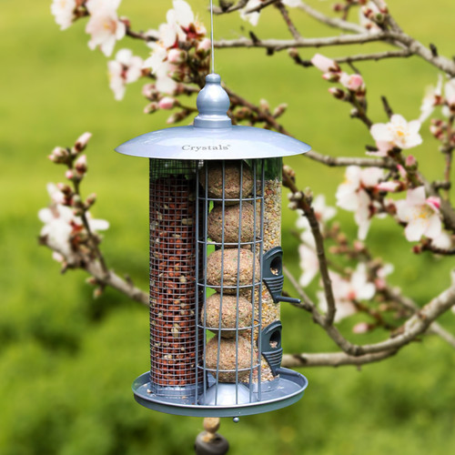 Hanging wild garden - garden, bird