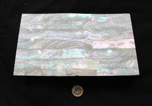Australian abalone thin - australian, mother