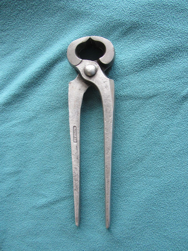 Large elvicta pincers - elvicta,