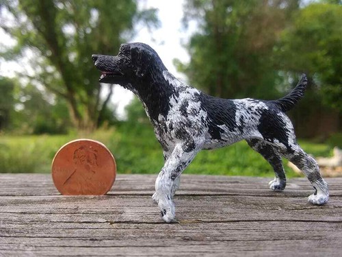 Custom spaniel mix dog for - cm,