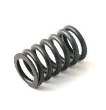 Element spring for Simms Minimec pumps