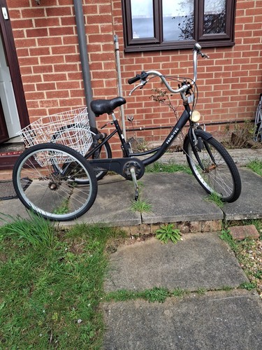 Adult tricycle trike bicycle - adult,