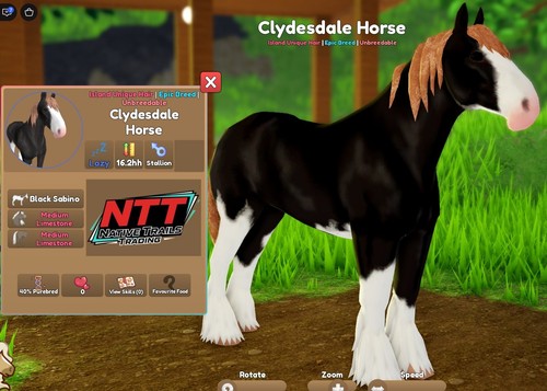 Wild horse islands - islands, black