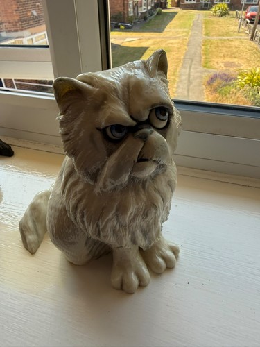 Pets with personality cat - with,