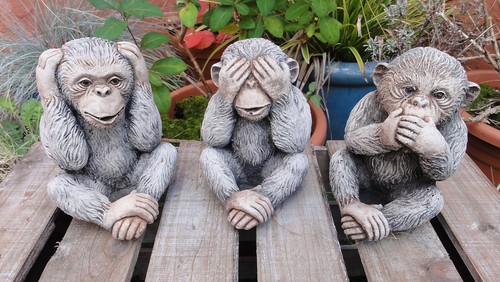 Wise monkeys garden - 3,