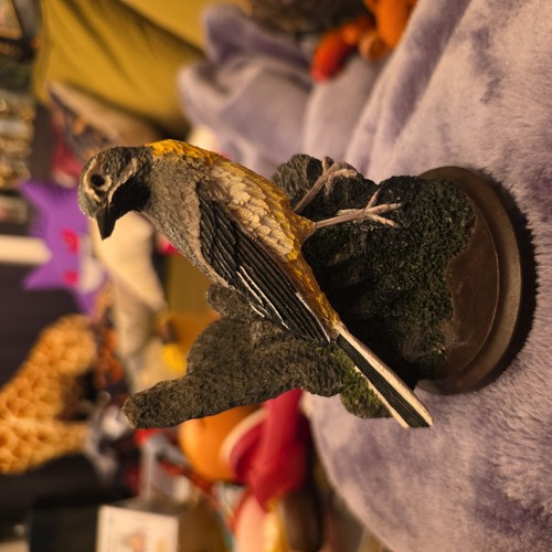 Country bird collection - bird, grey