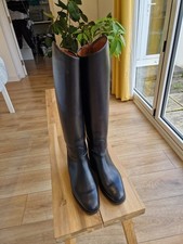 Petrie ladies girls Dressage