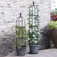 3 Sizes Climbing Plants Metal