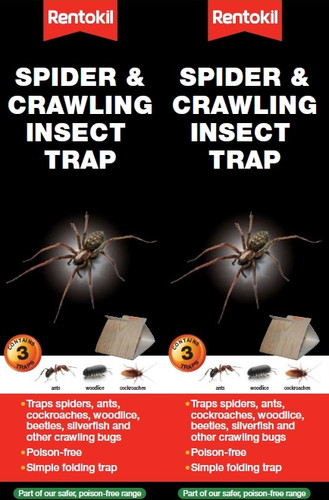 Rentokil spider crawling - spider, &