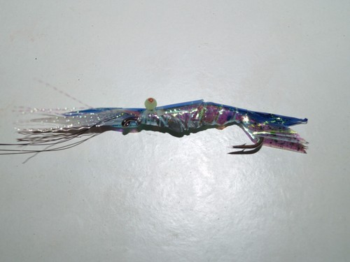 Sea trout lure salmon - sea,