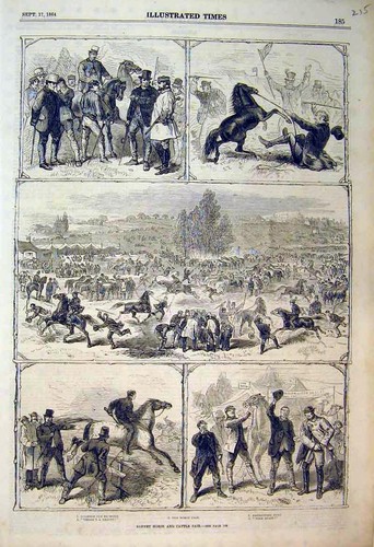 Original old antique print - antique,