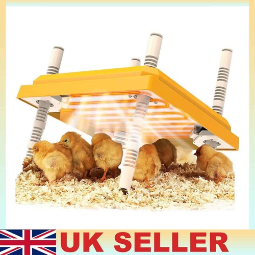 Adjustable breed chick brooder - breed,