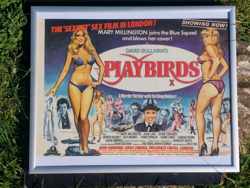 Playbirds 1978 advert - playbirds,