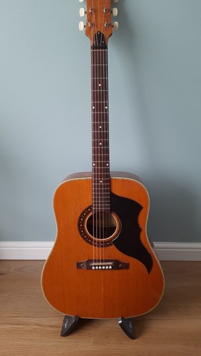 Eko ranger string - vi, 6-string