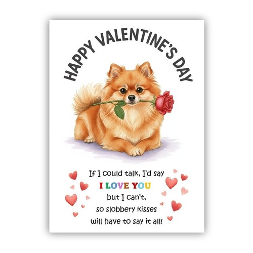 Pomeranian dog valentine - valentine's, day
