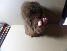 Sammlerfigur Monchichi  / C1 