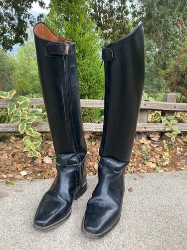 Petrie dressage boots size - petrie,